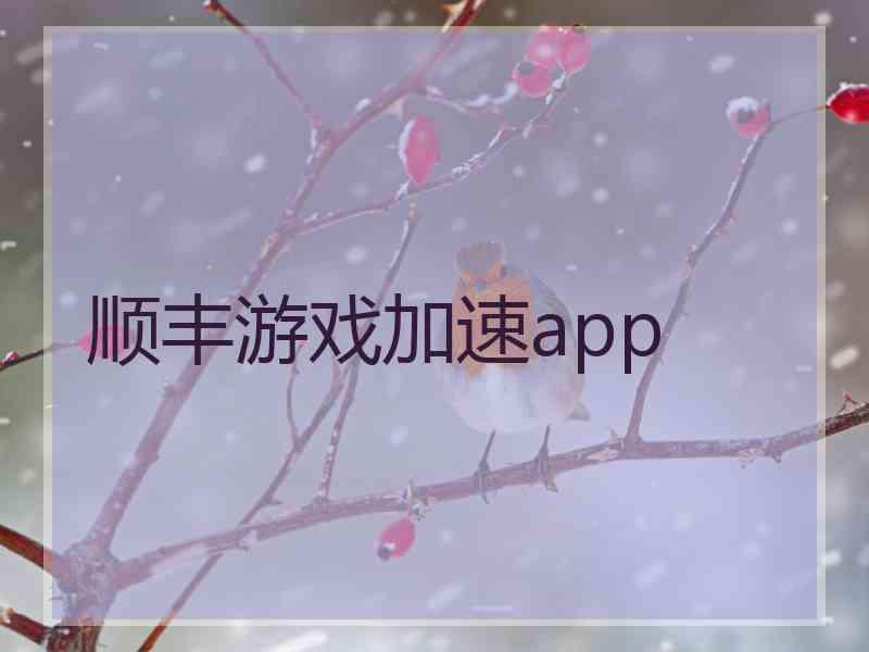 顺丰游戏加速app