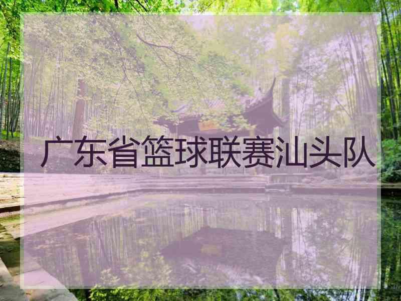 广东省篮球联赛汕头队