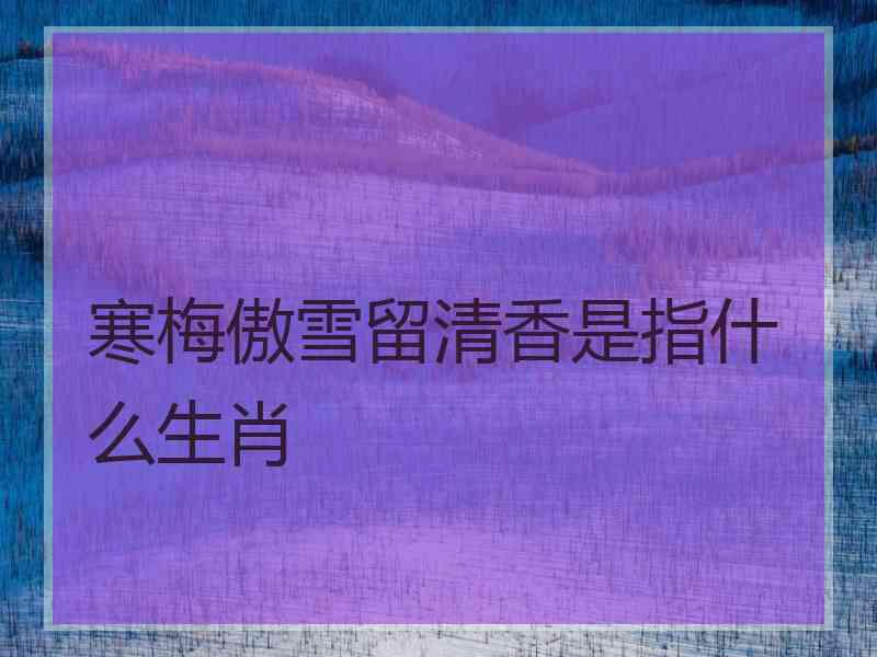寒梅傲雪留清香是指什么生肖