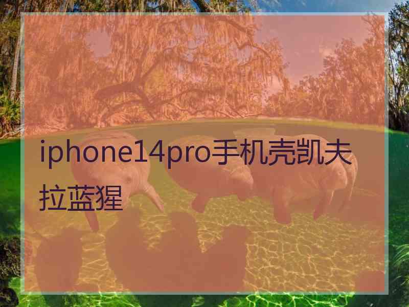iphone14pro手机壳凯夫拉蓝猩