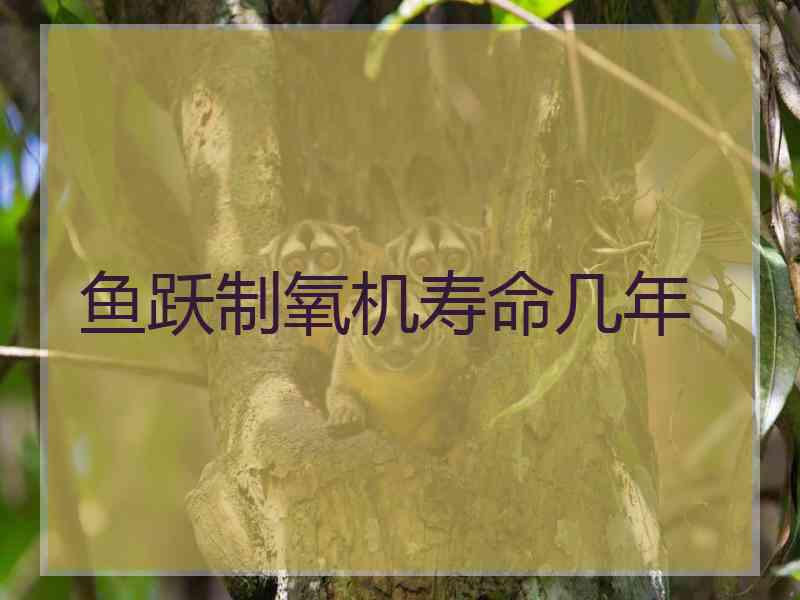 鱼跃制氧机寿命几年