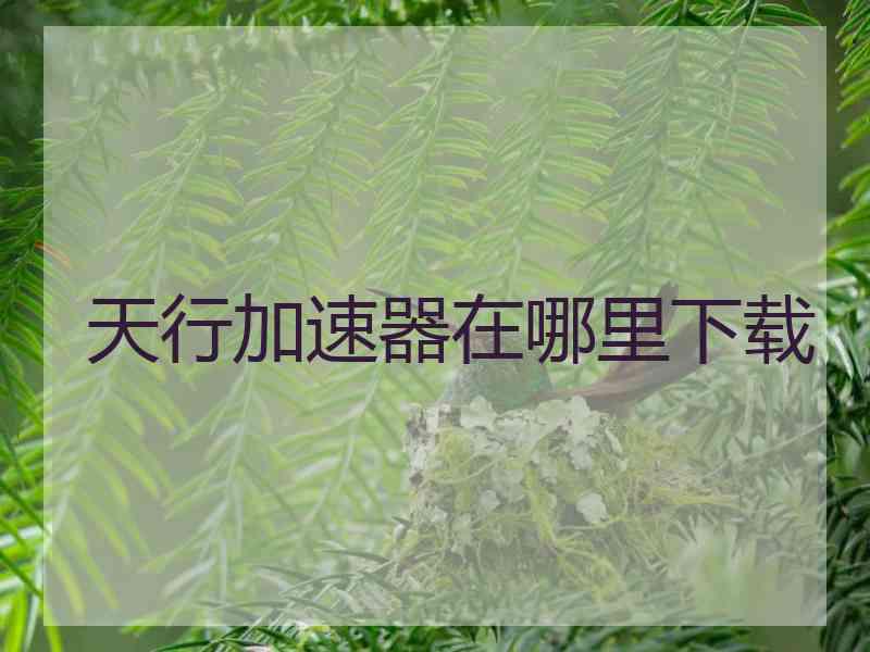 天行加速器在哪里下载
