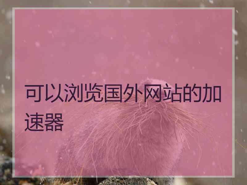 可以浏览国外网站的加速器