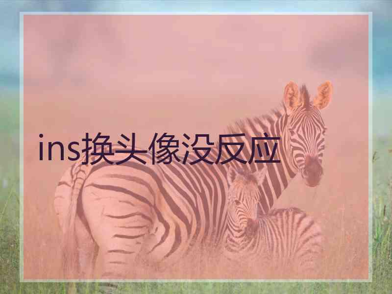 ins换头像没反应