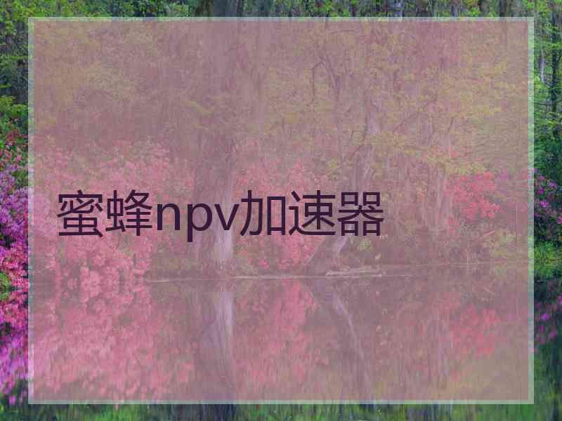 蜜蜂npv加速器