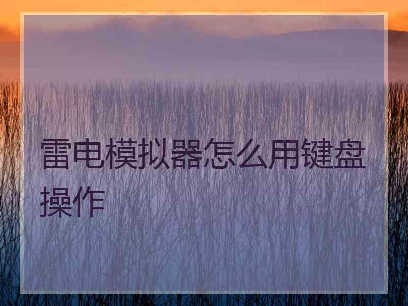 雷电模拟器怎么用键盘操作