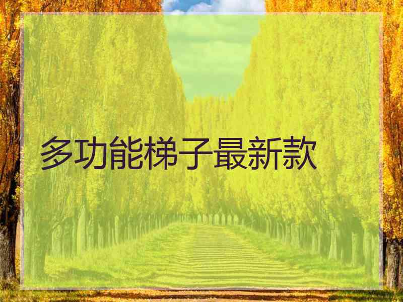 多功能梯子最新款
