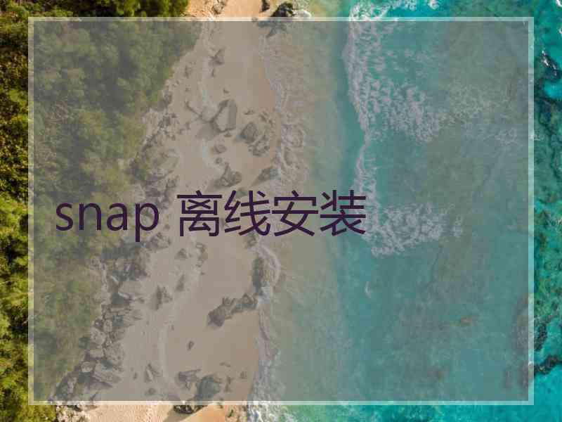 snap 离线安装
