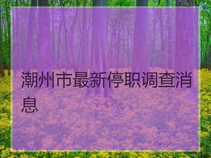 潮州市最新停职调查消息