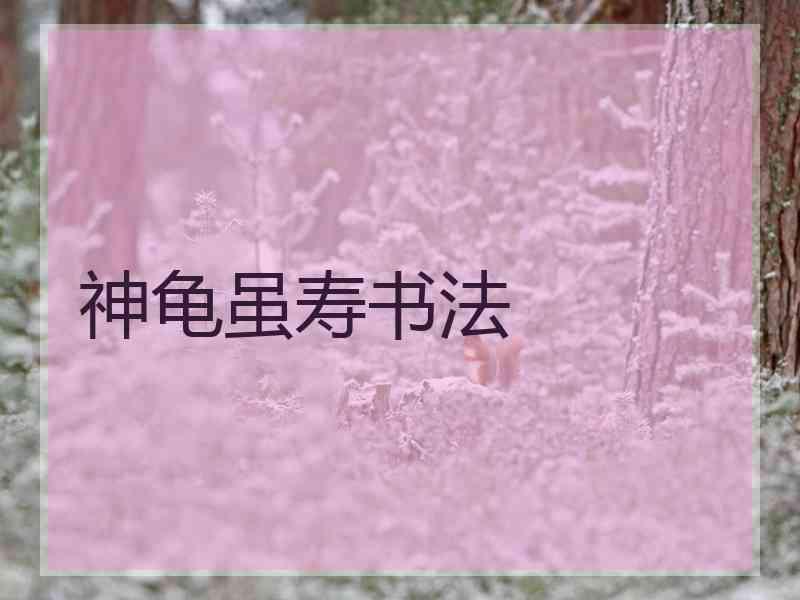 神龟虽寿书法