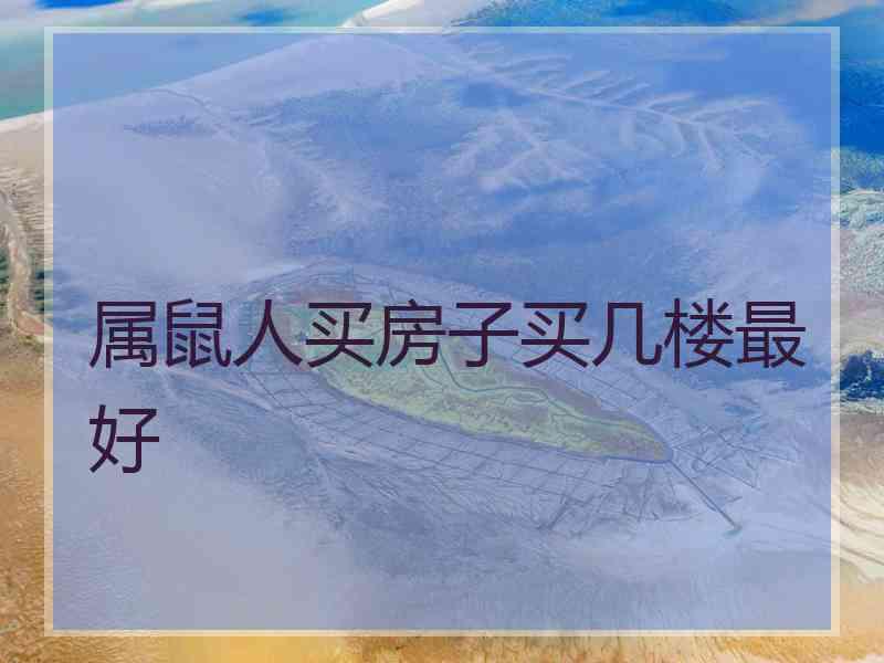 属鼠人买房子买几楼最好