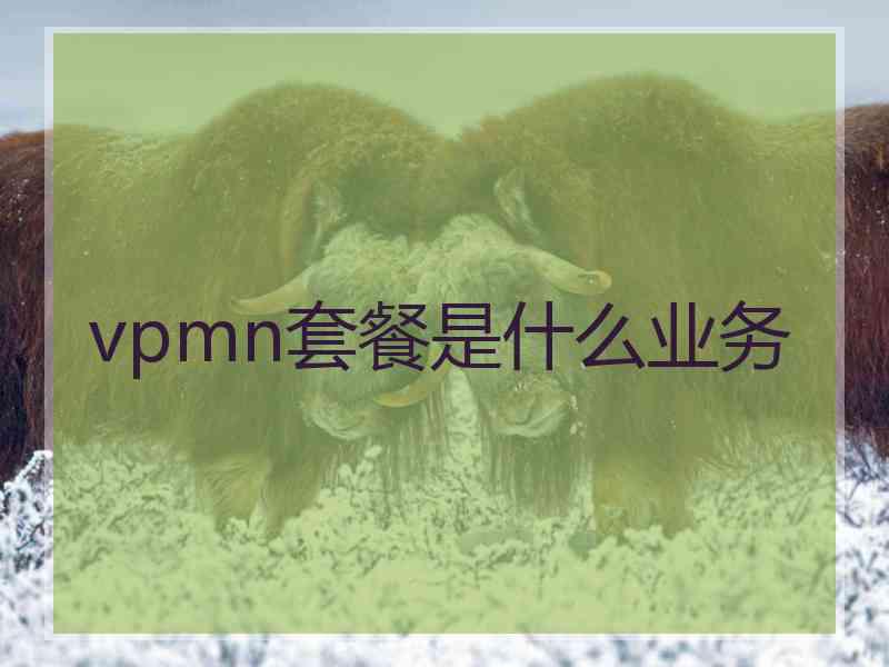 vpmn套餐是什么业务