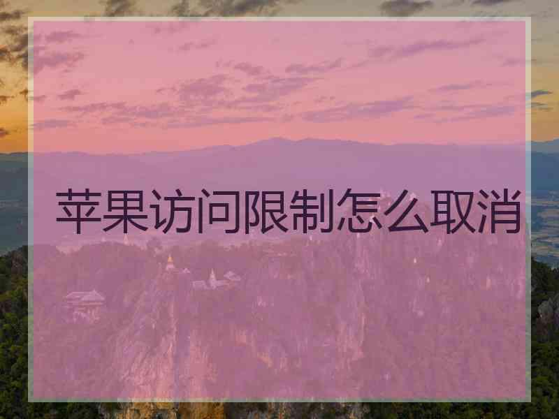 苹果访问限制怎么取消