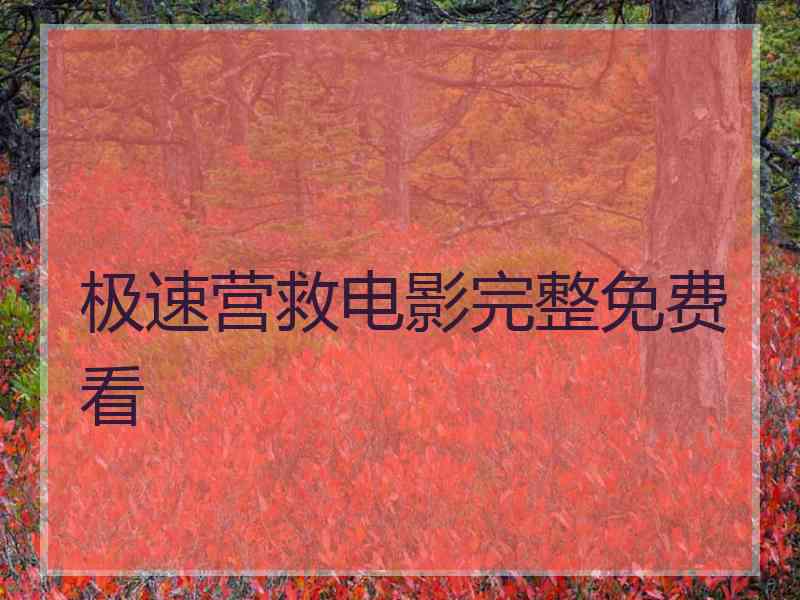 极速营救电影完整免费看