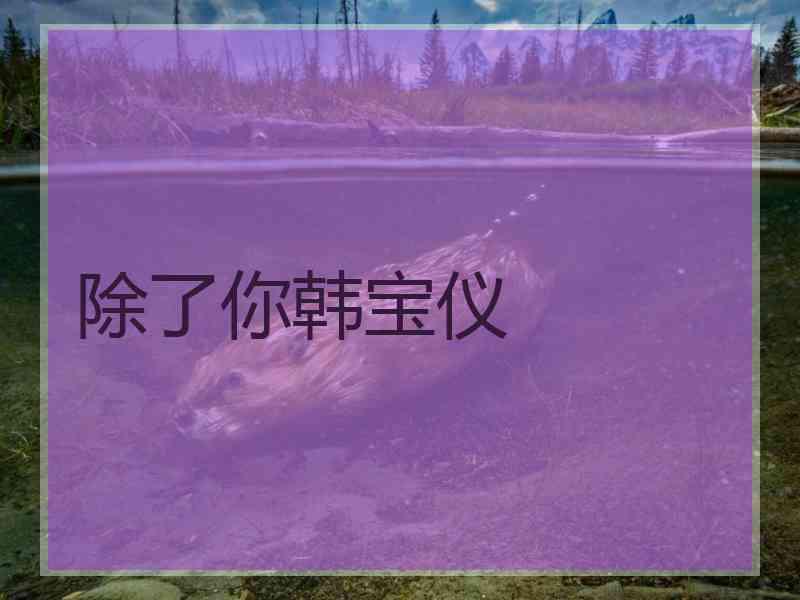 除了你韩宝仪