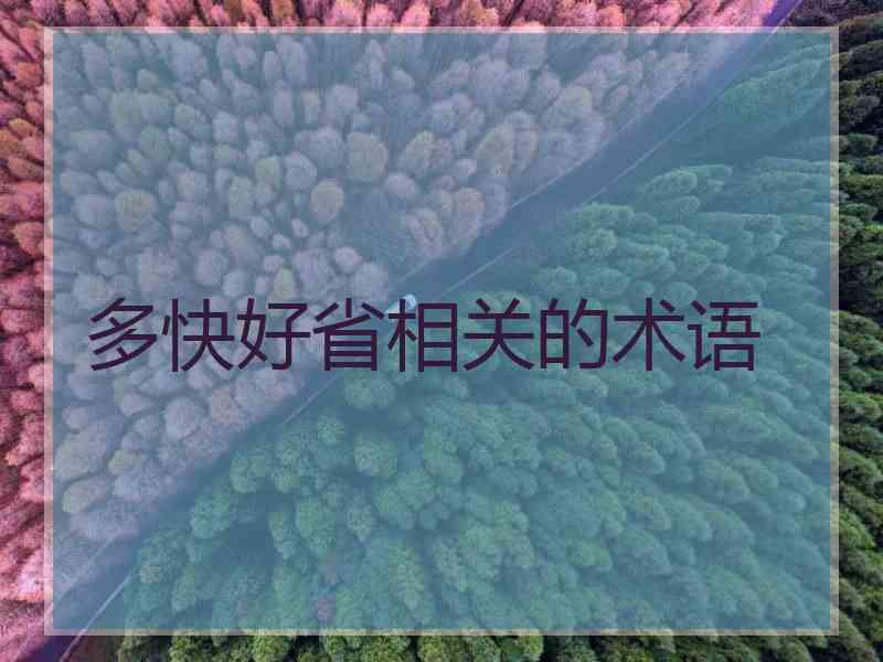 多快好省相关的术语