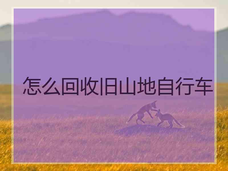怎么回收旧山地自行车