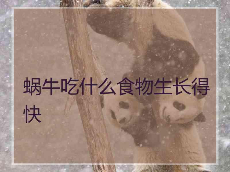 蜗牛吃什么食物生长得快