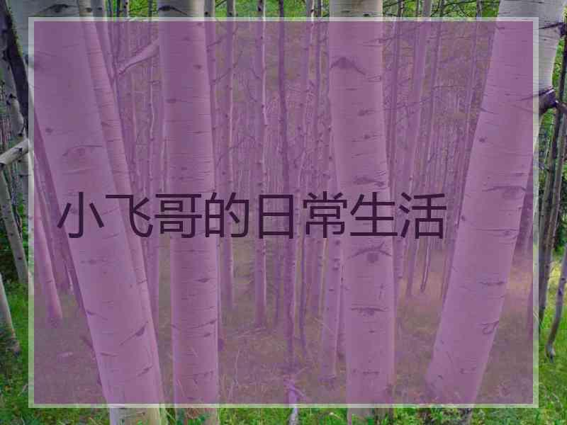 小飞哥的日常生活