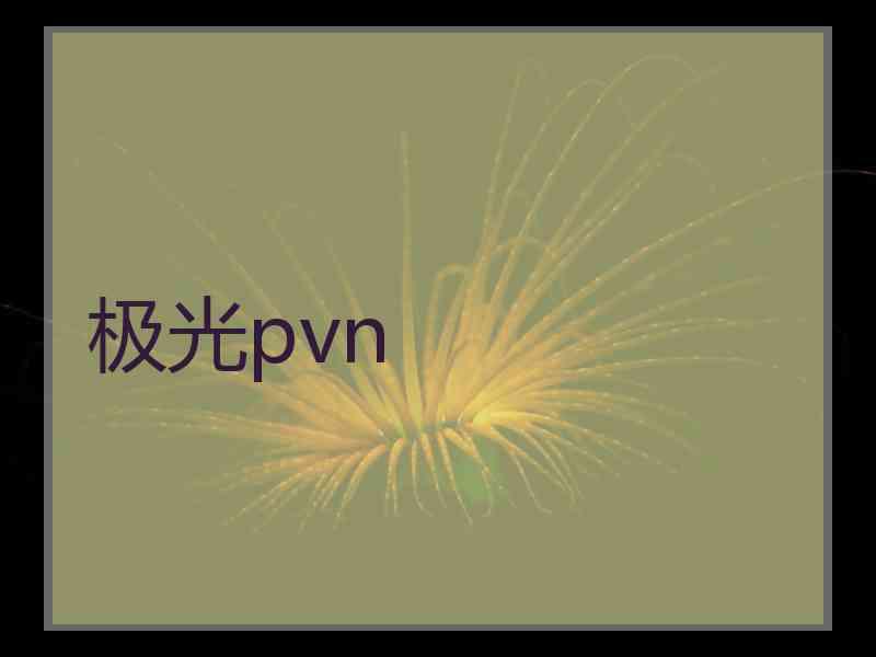极光pvn