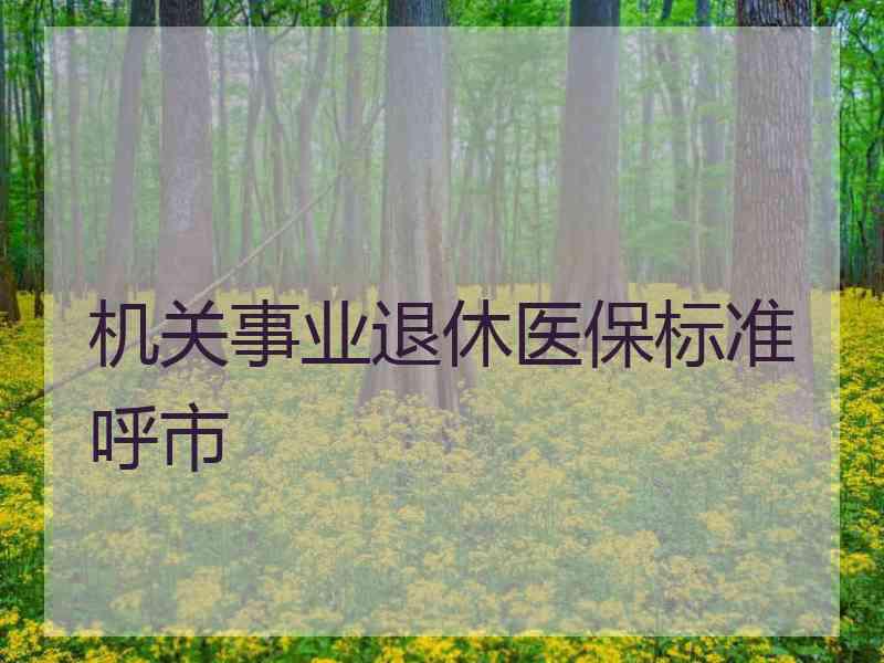 机关事业退休医保标准呼市