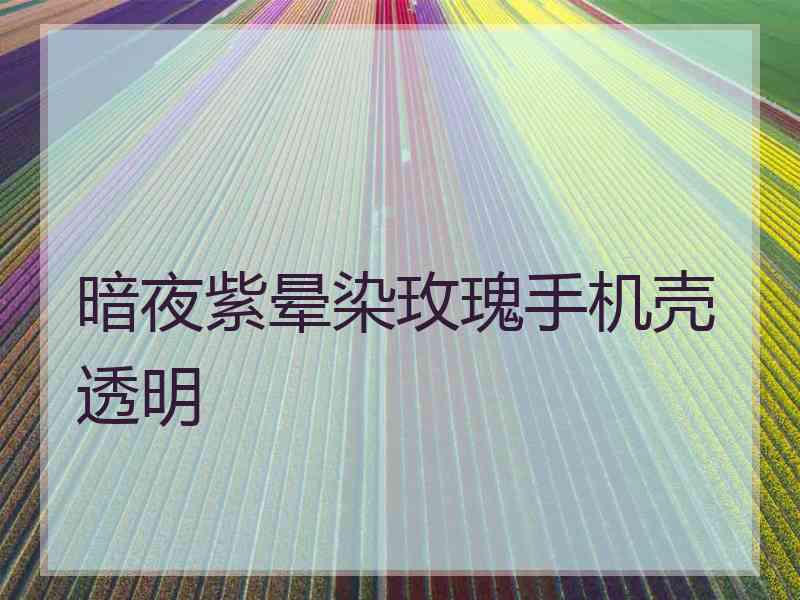 暗夜紫晕染玫瑰手机壳透明