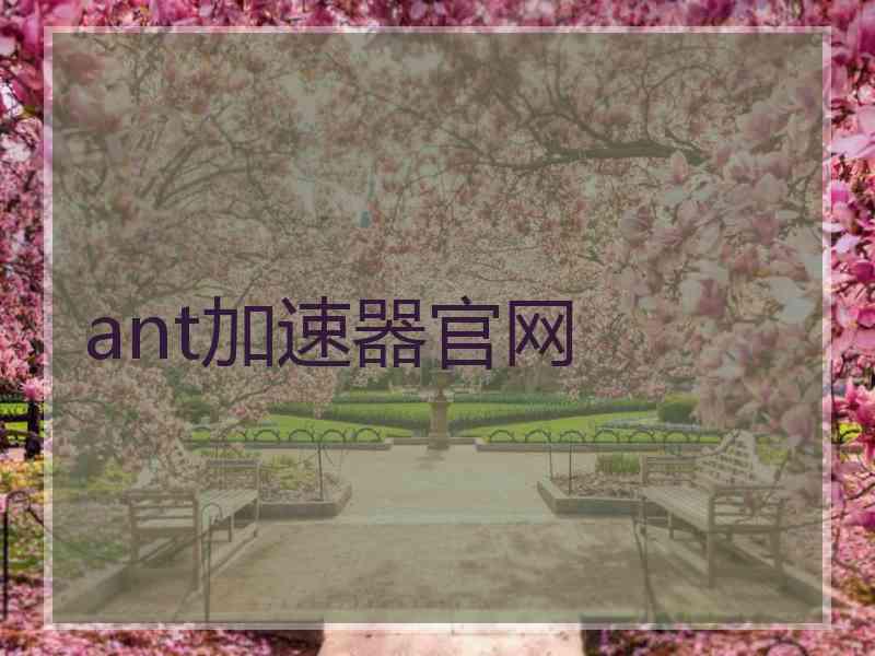 ant加速器官网