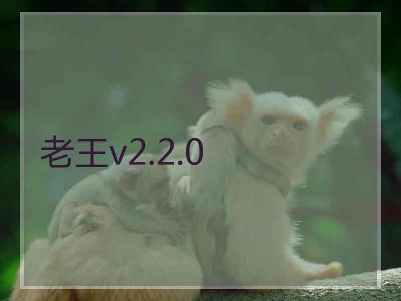 老王v2.2.0