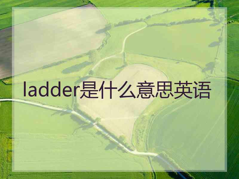 ladder是什么意思英语