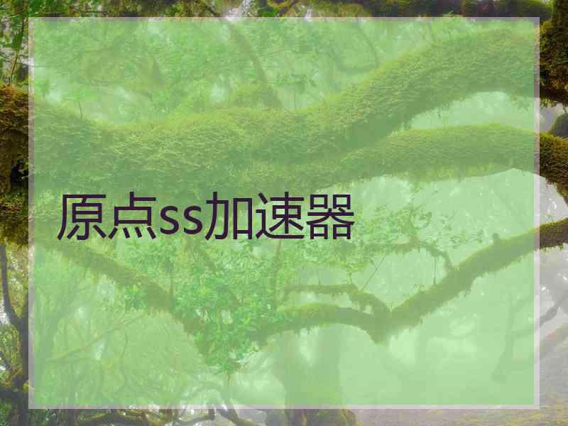 原点ss加速器