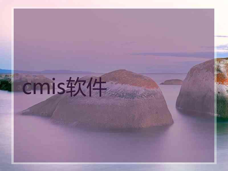 cmis软件