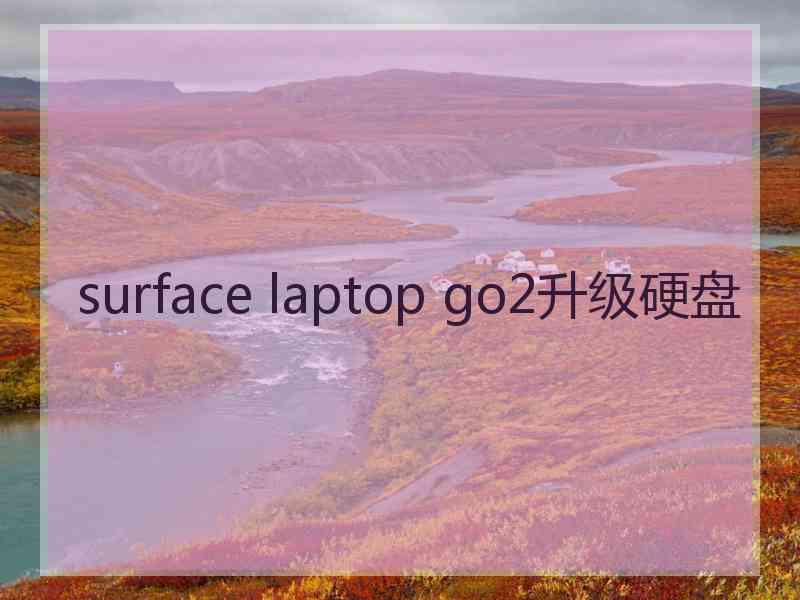 surface laptop go2升级硬盘