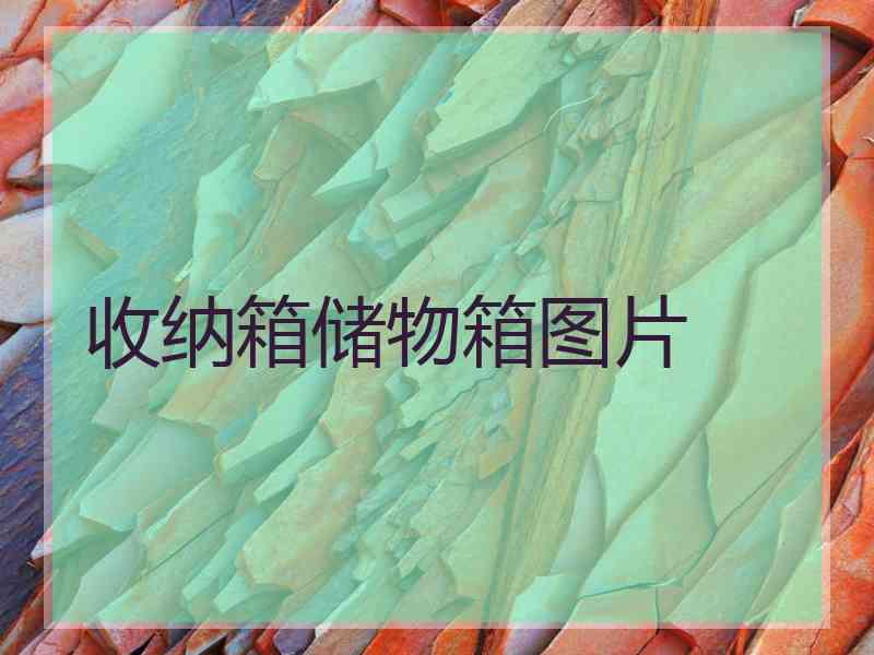 收纳箱储物箱图片