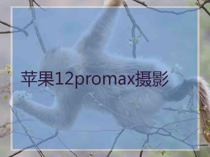 苹果12promax摄影