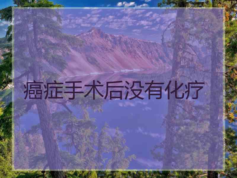 癌症手术后没有化疗