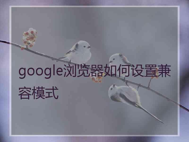 google浏览器如何设置兼容模式