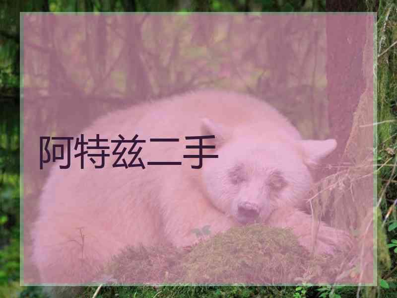 阿特兹二手