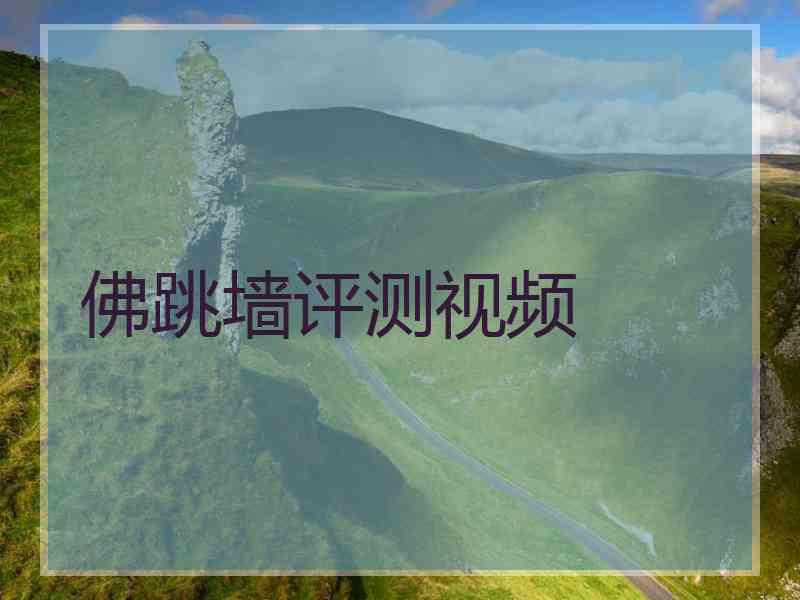 佛跳墙评测视频