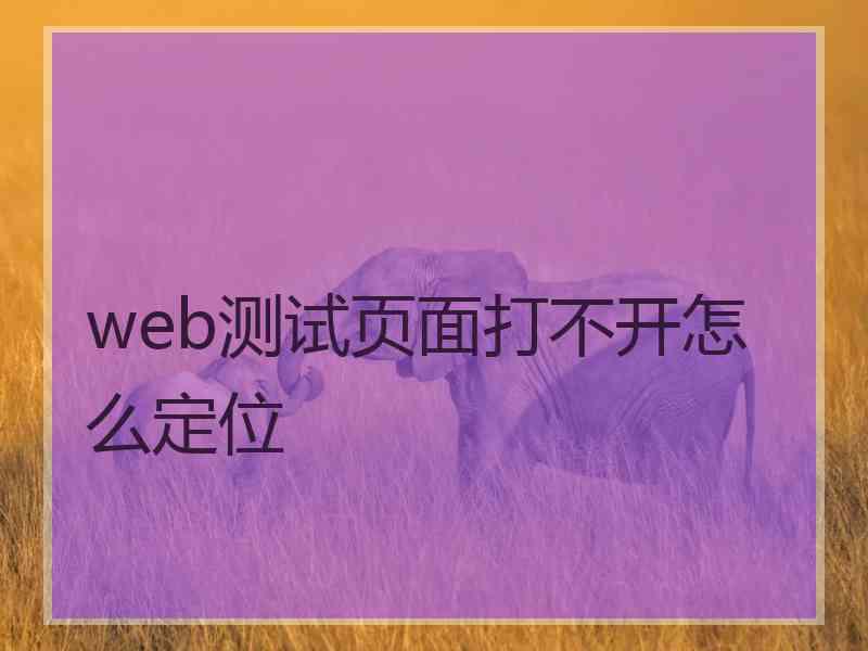 web测试页面打不开怎么定位