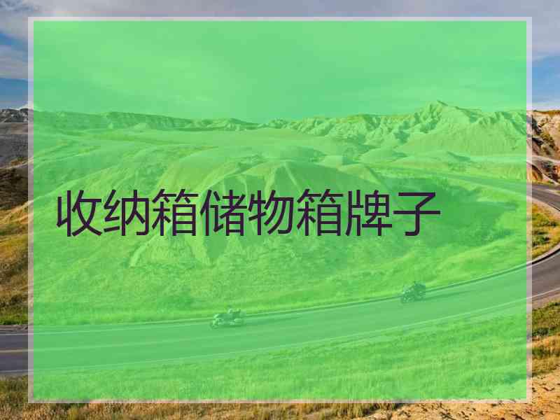 收纳箱储物箱牌子