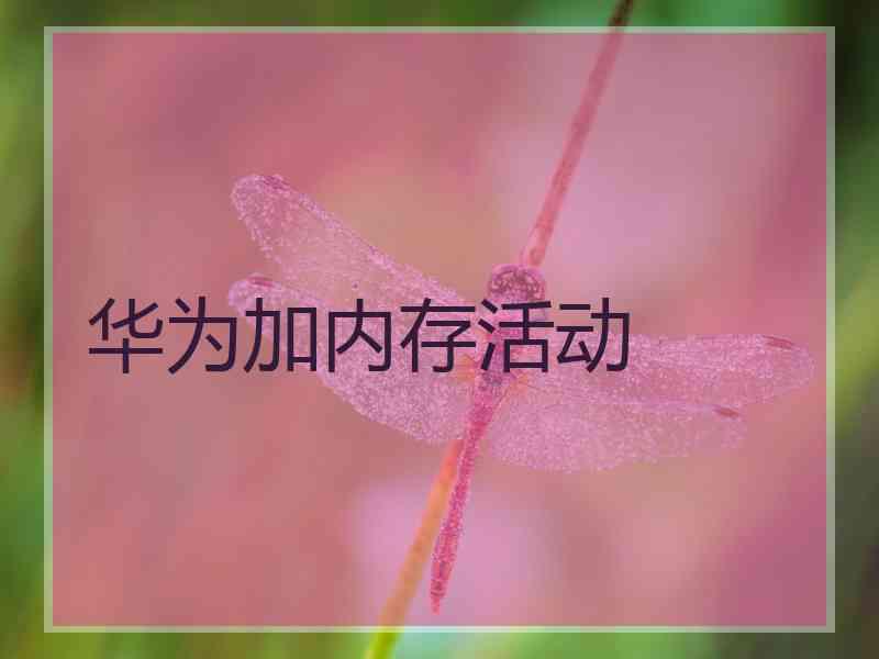 华为加内存活动