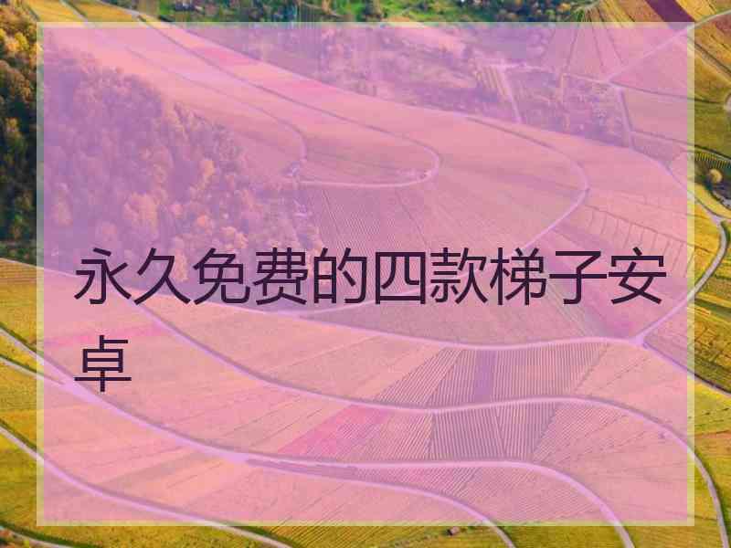 永久免费的四款梯子安卓