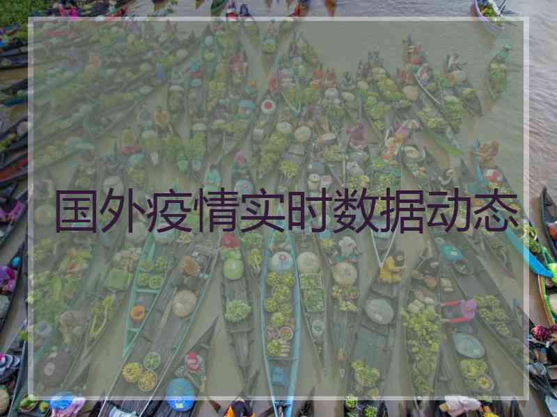 国外疫情实时数据动态