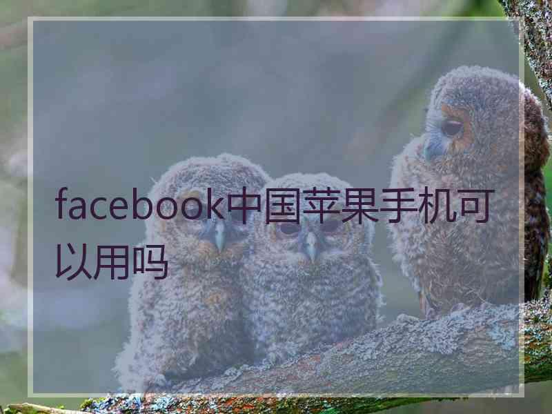 facebook中国苹果手机可以用吗