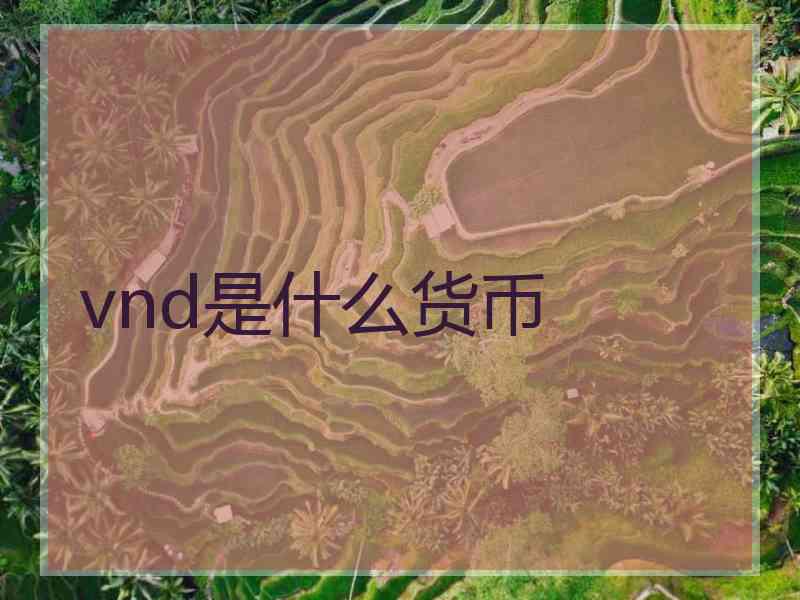 vnd是什么货币