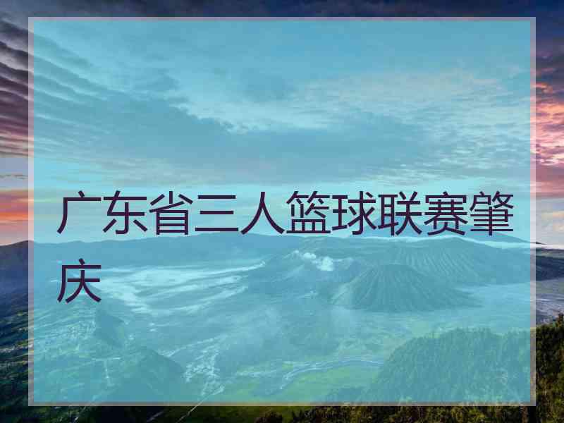 广东省三人篮球联赛肇庆