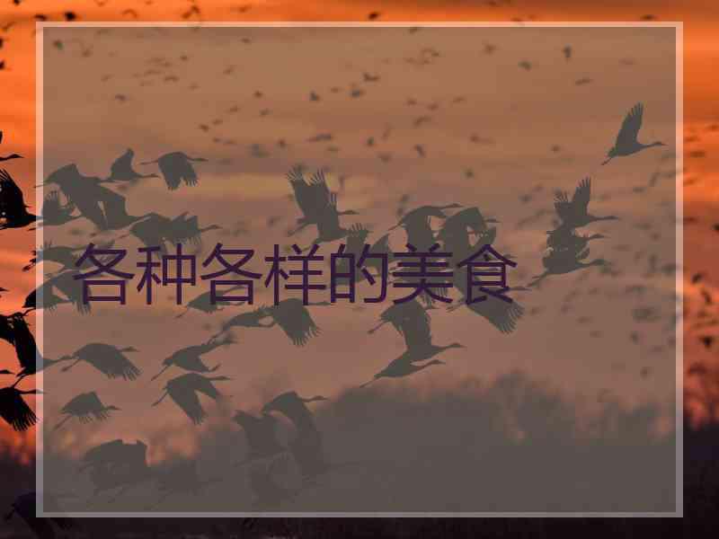 各种各样的美食