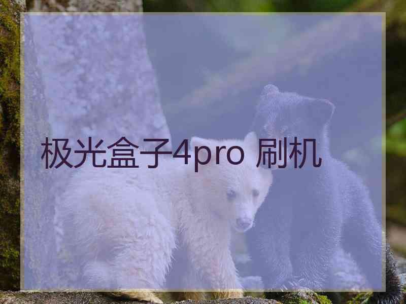 极光盒子4pro 刷机