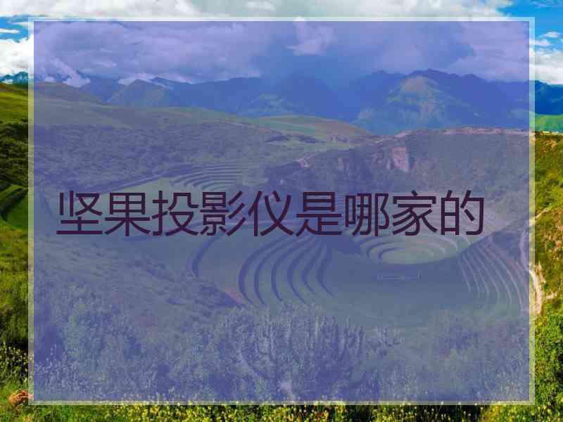 坚果投影仪是哪家的
