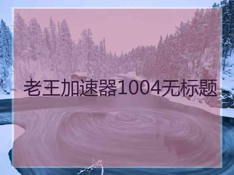 老王加速器1004无标题